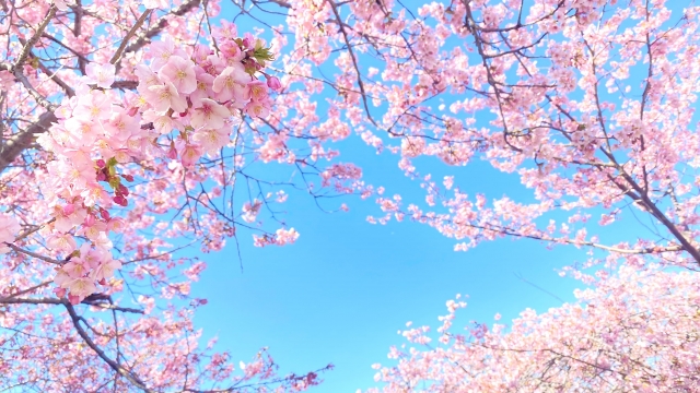 GreenWorksが「大切にしている3つのこと」